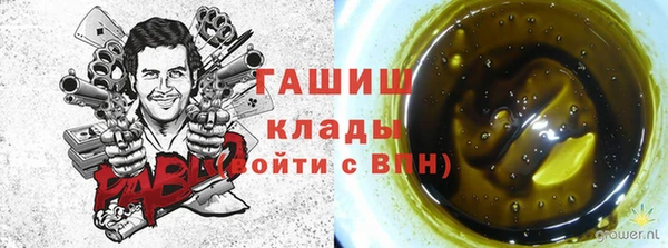 прущий лед Шали